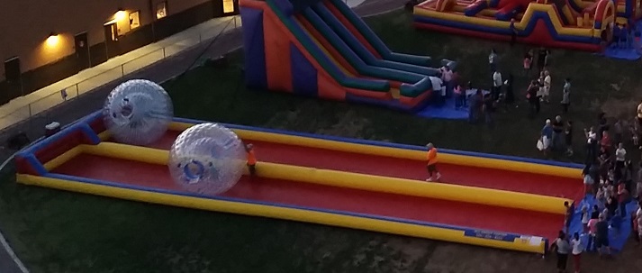 play free hamsterball play free hamsterball